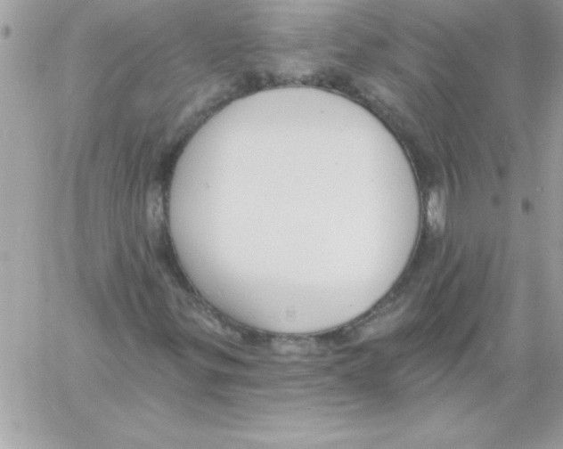 X0000061731299200512302135