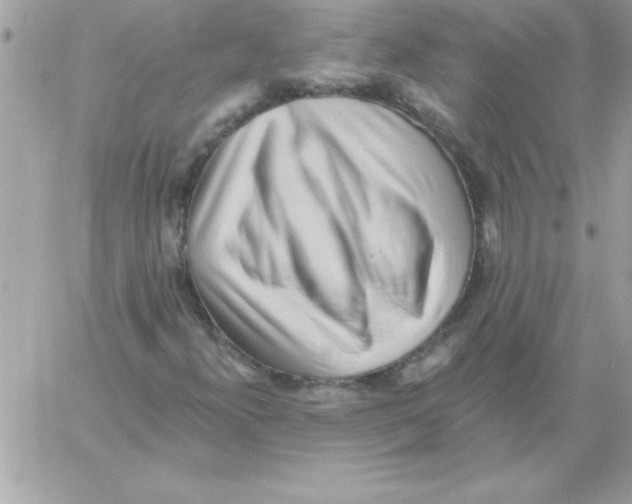 X0000061731300200512302135