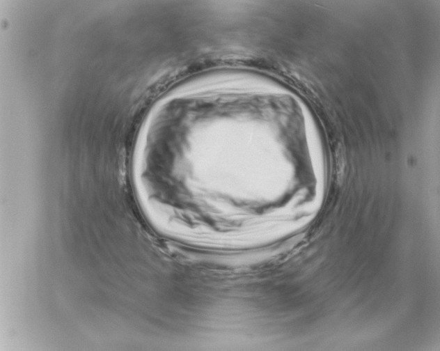 X0000061731301200512302135