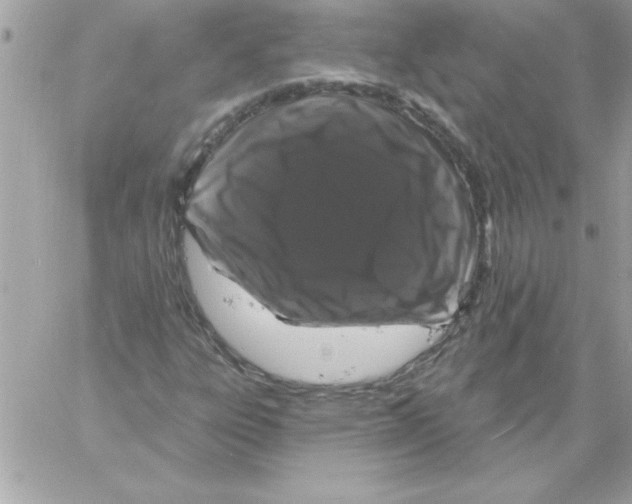 X0000061731303200512302135