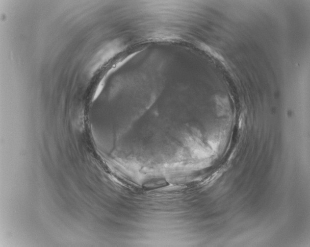 X0000061731306200512302135