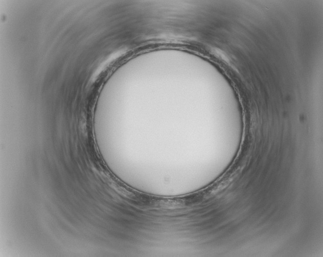 X0000061731307200512302135