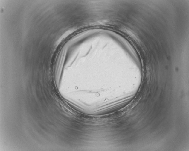 X0000061731308200512302135