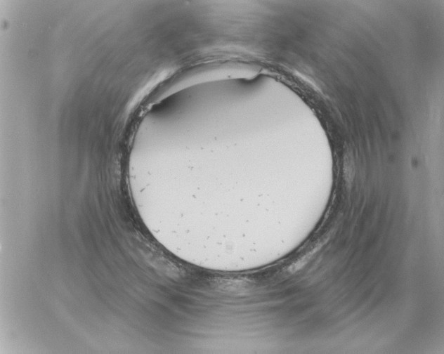 X0000061731309200512302135