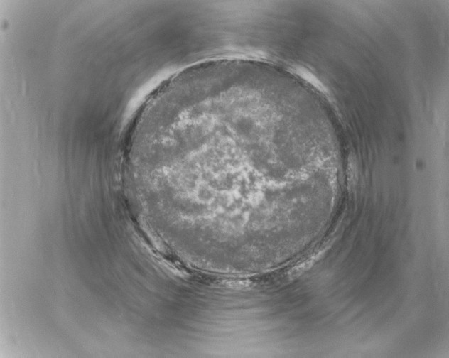 X0000061731310200512302135