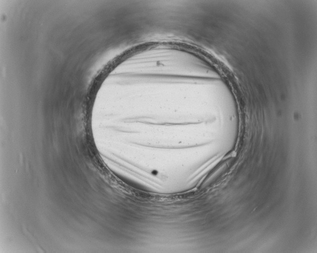 X0000061731311200512302135