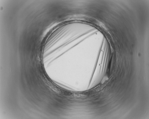 X0000061731312200512302135