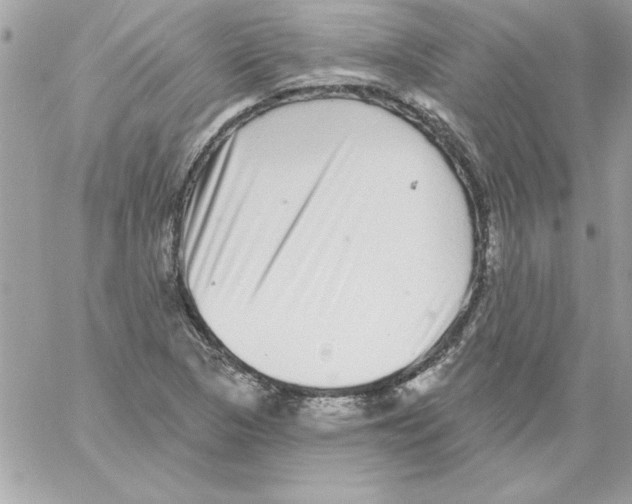 X0000061731313200512302135