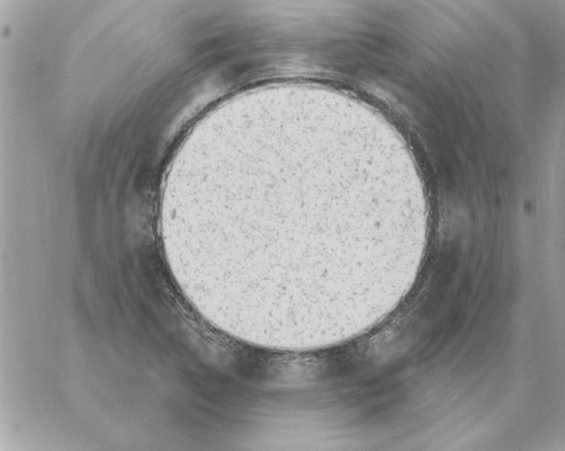 X0000061731314200512302135