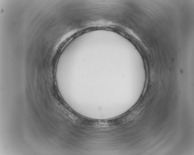 X0000061731315200512302135