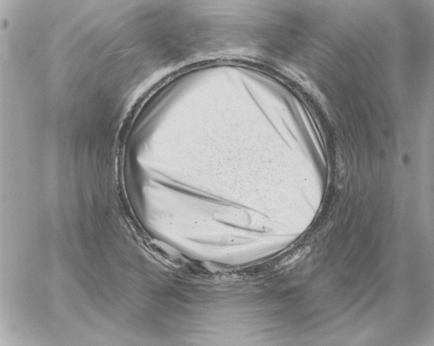 X0000061731316200512302135