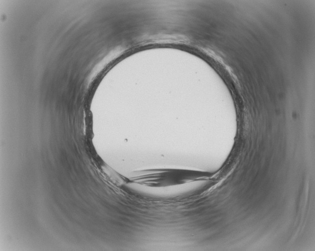 X0000061731317200512302135