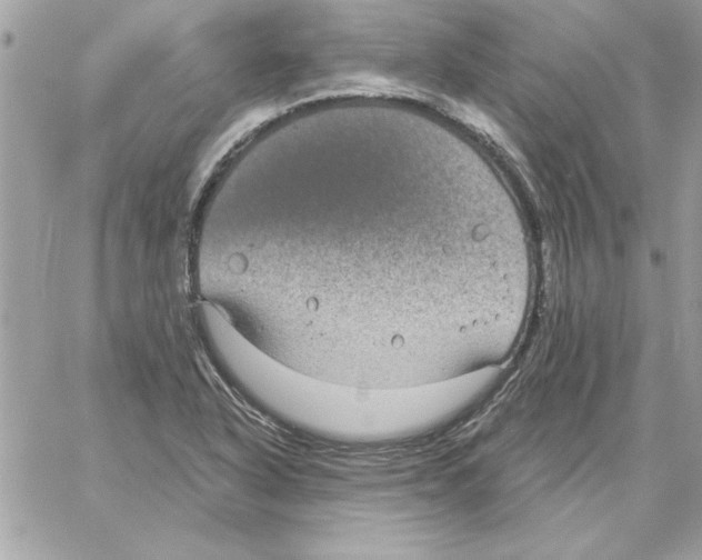 X0000061731318200512302135