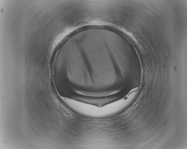 X0000061731319200512302135