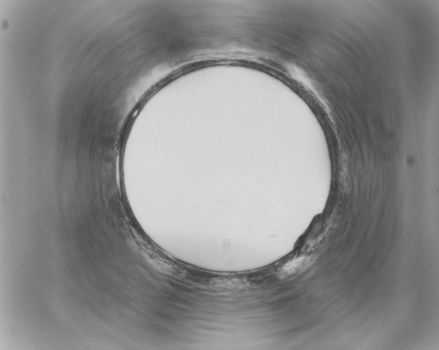 X0000061731320200512302135