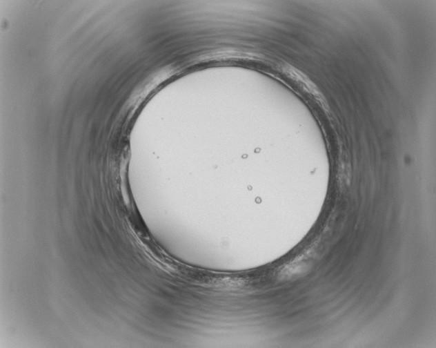 X0000061731321200512302135