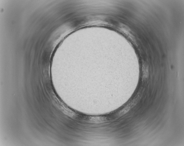 X0000061731322200512302135