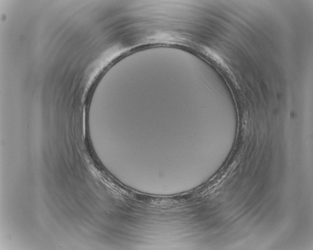 X0000061731323200512302135