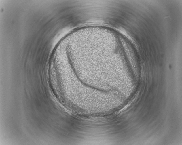 X0000061731325200512302135