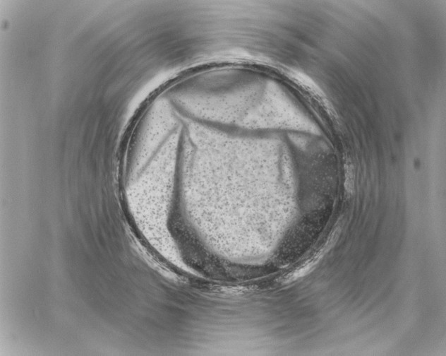 X0000061731326200512302135