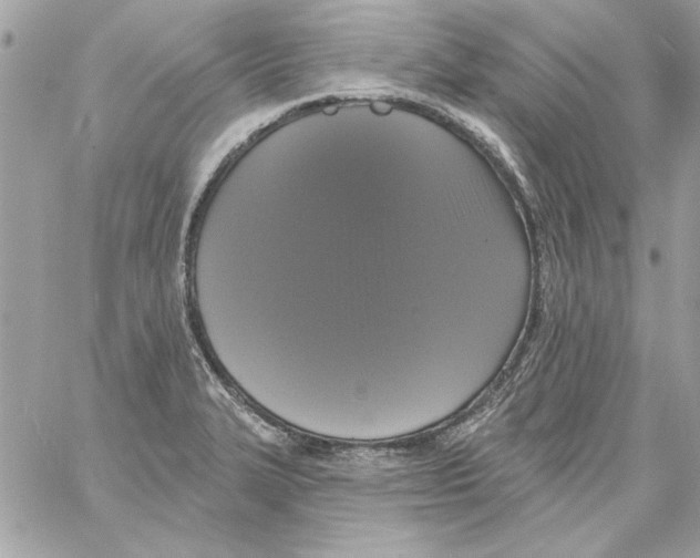 X0000061731327200512302135