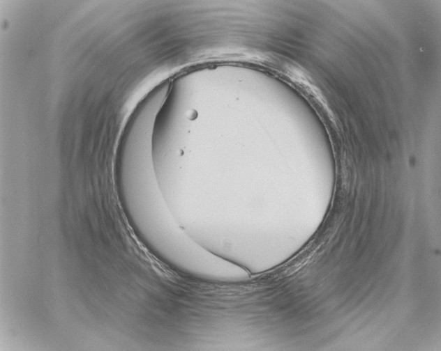 X0000061731328200512302135