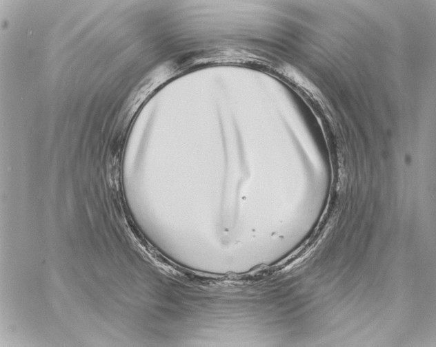 X0000061731329200512302136