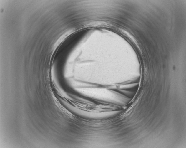 X0000061731330200512302136