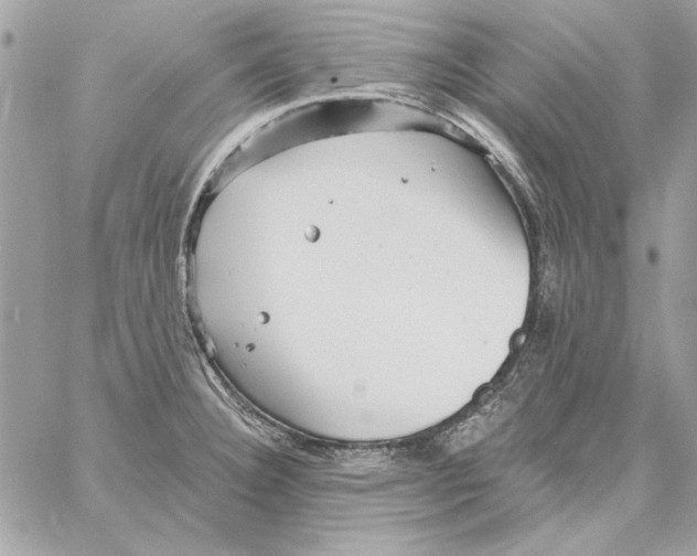 X0000061731332200512302136