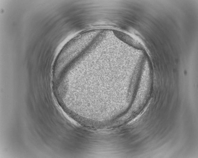 X0000061731333200512302136