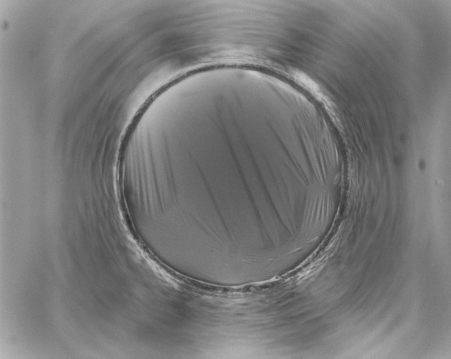 X0000061731334200512302136