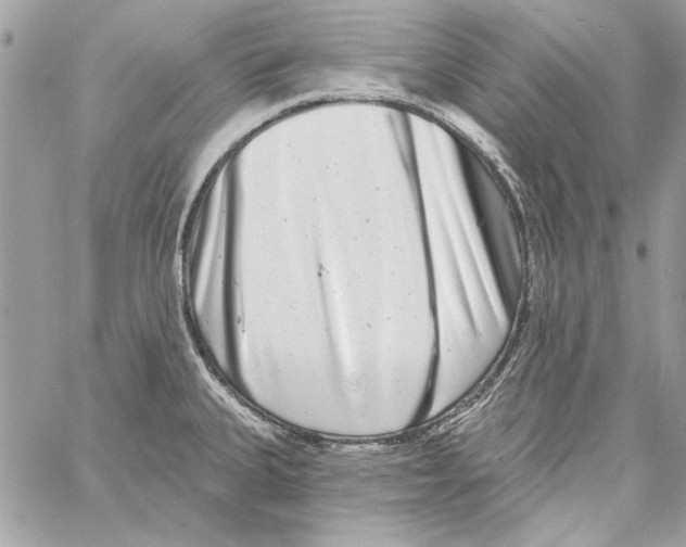 X0000061731335200512302136