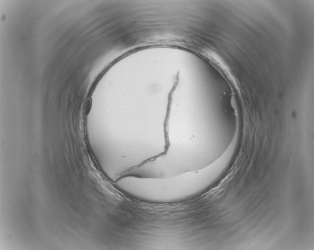 X0000061731336200512302136