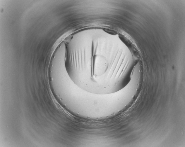 X0000061731338200512302136