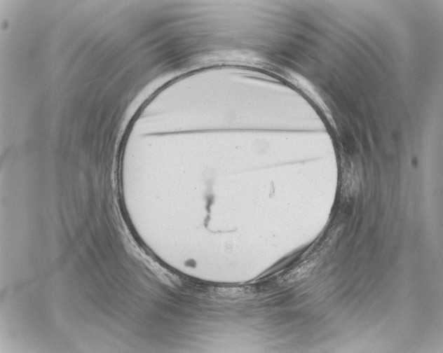 X0000061731339200512302136