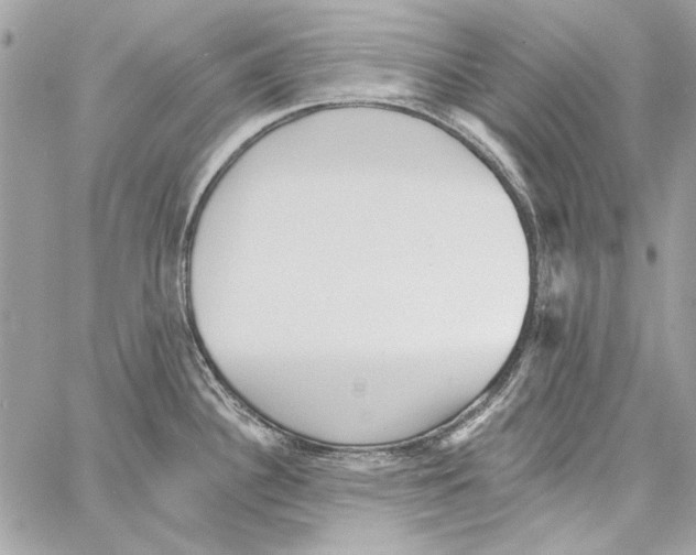 X0000061731340200512302136