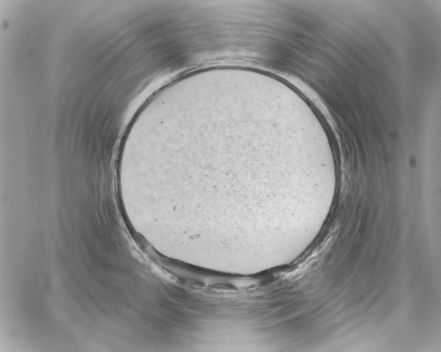 X0000061731341200512302136