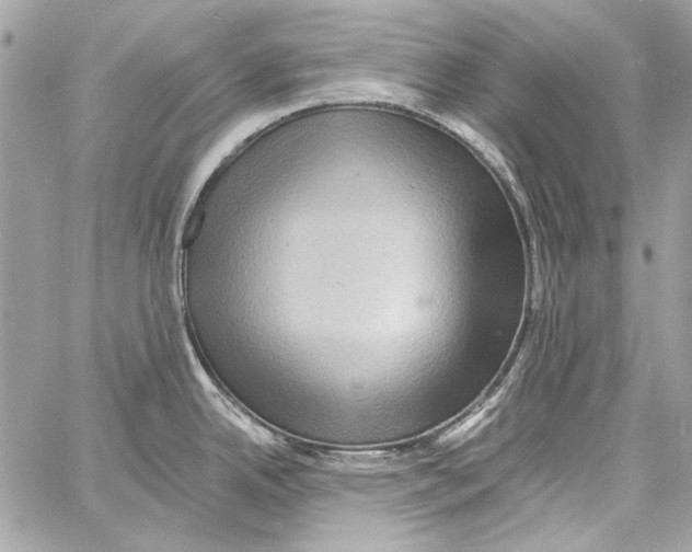 X0000061731342200512302136