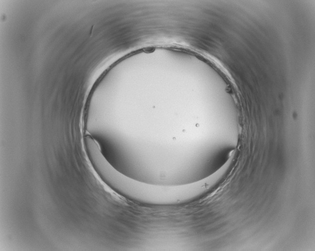 X0000061731343200512302136