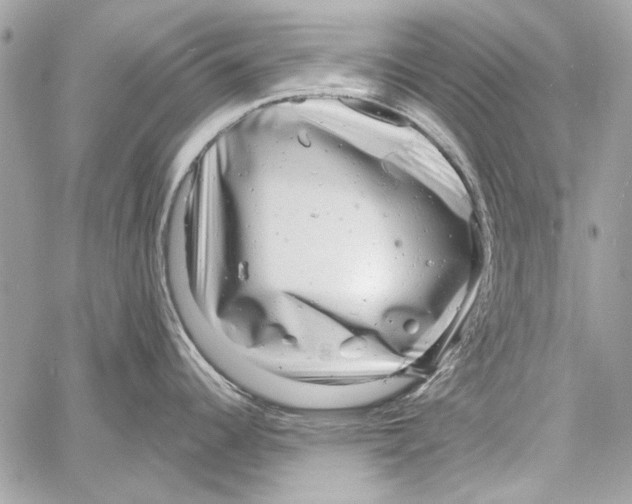 X0000061731344200512302136