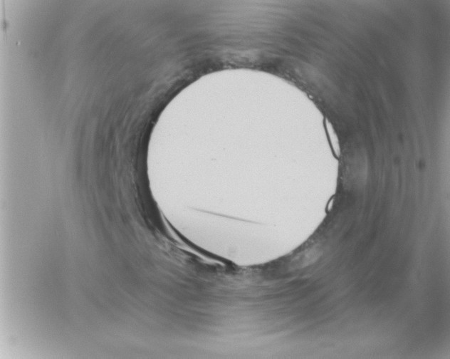 X0000061731345200512302135