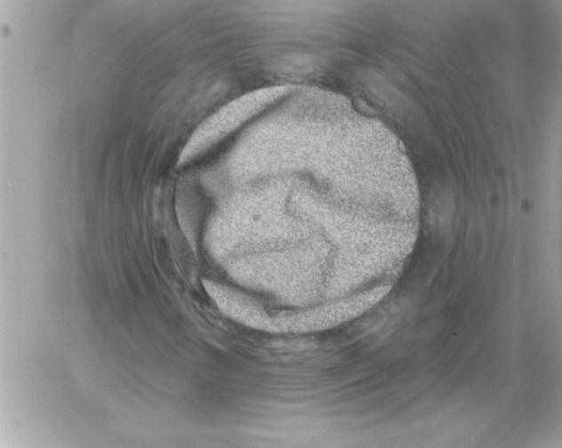 X0000061731346200512302135