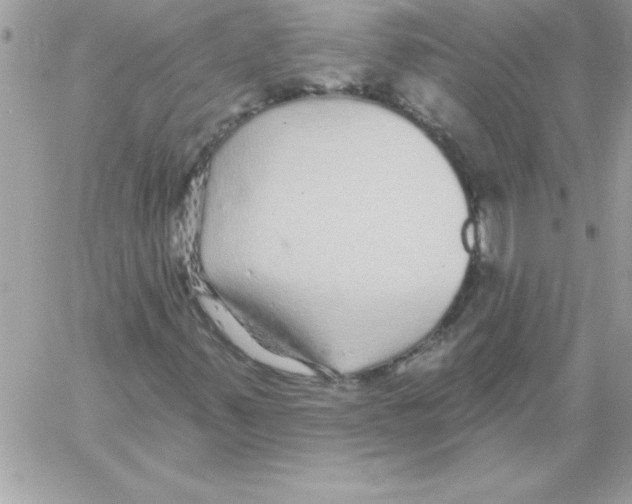 X0000061731347200512302135