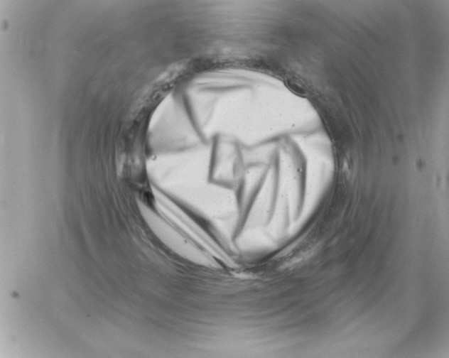 X0000061731348200512302135