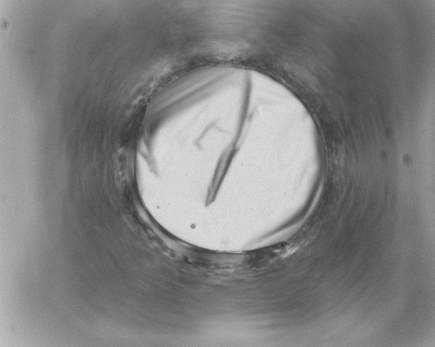 X0000061731349200512302135