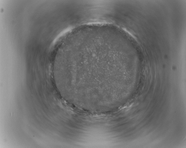 X0000061731351200512302135