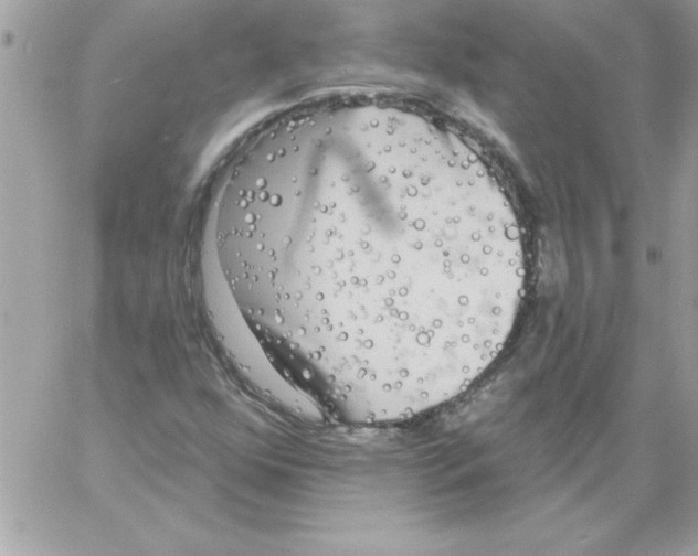 X0000061731352200512302135