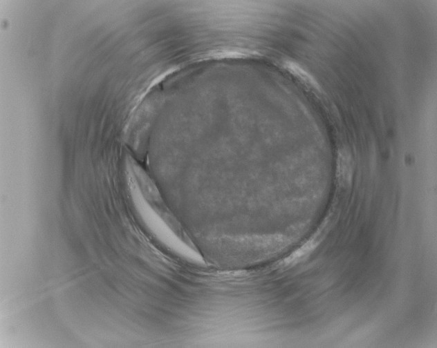 X0000061731353200512302135