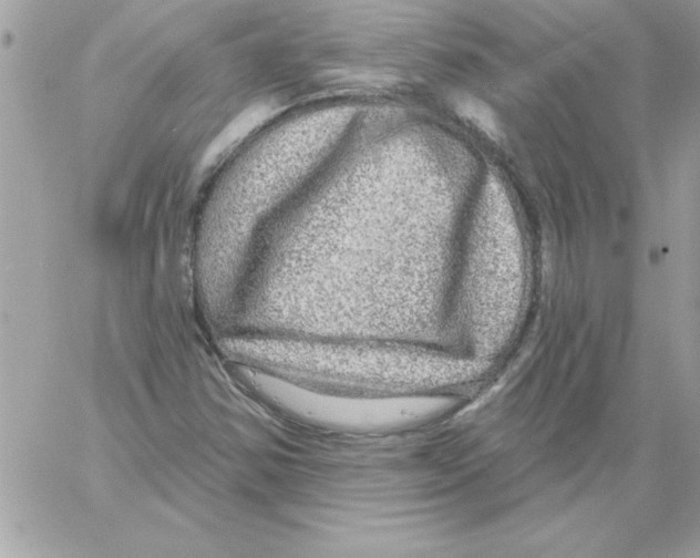 X0000061731354200512302135