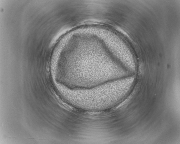 X0000061731355200512302135